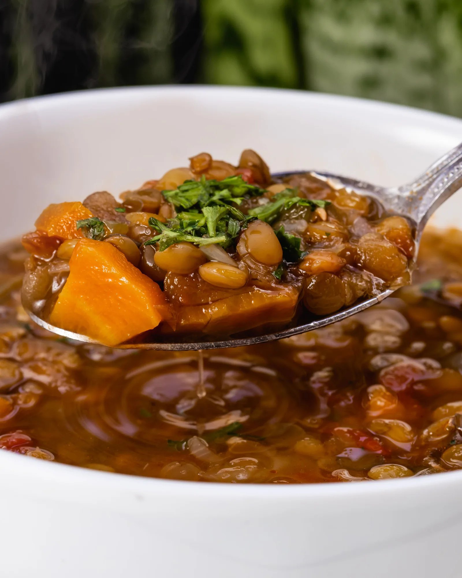 Lentil.jpg