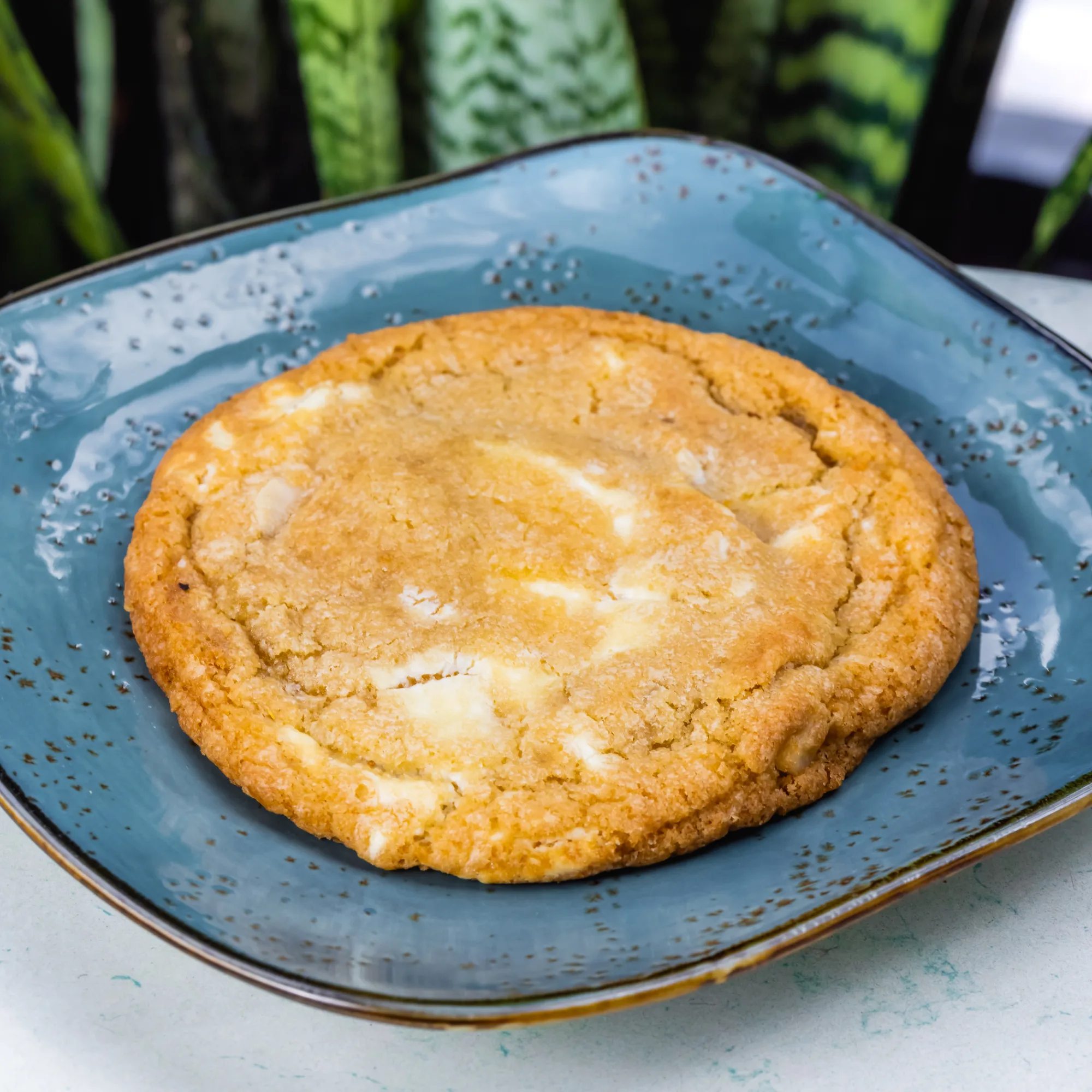 White Chocolate Chip Macadamia Cookie.jpg